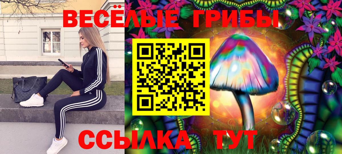 Галлюциногенные грибы прущие грибы  Вход с VPN  Камень-на-Оби 