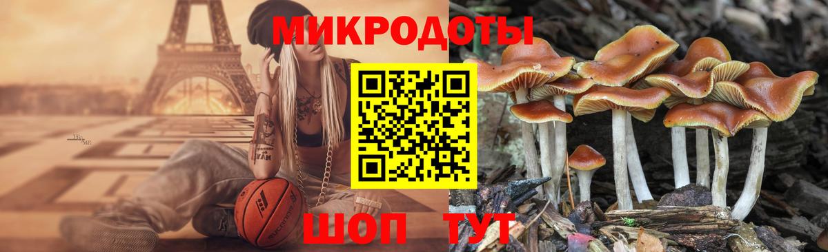 Псилоцибиновые грибы ЛСД Камень-на-Оби